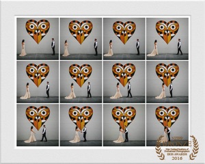2016 NZIPP wedding creative bronze award