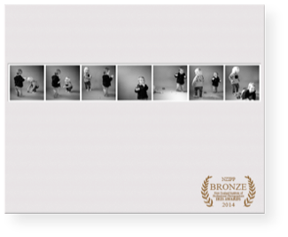 2014 NZIPP portrait classic bronze award